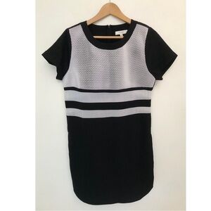 Umgee Mesh Striped Shift Dress